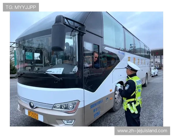 新手必看真人龙虎打法指南，快速入门掌握核心技巧